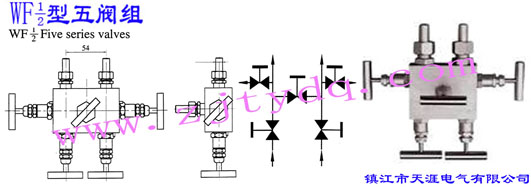 WF-1/2yMWF-1/2 Five Series Valve